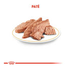 Royal Canin Adult Chihuahua paté en sobre , , large image number null